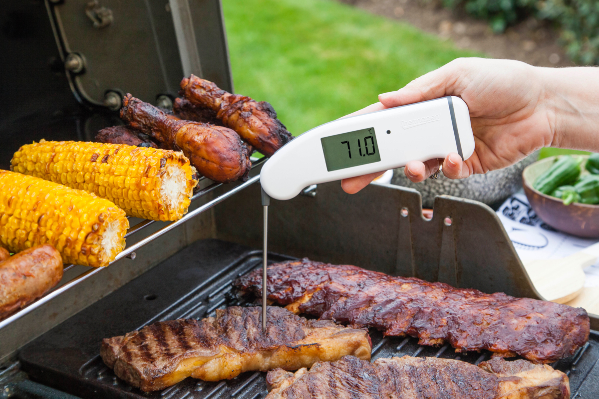 Thermapen Professional Thermometer